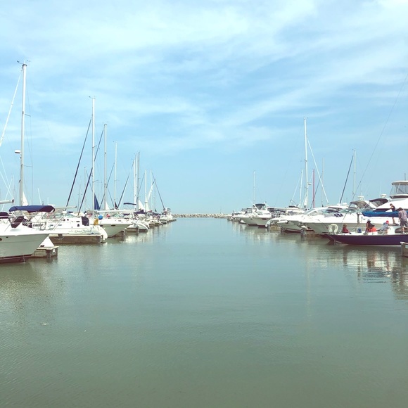 Meet your Posher, Bobbi - Picture 1 of 1